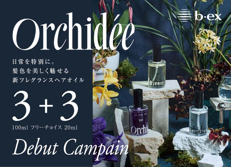 【新発売 3＋3】ビーエックスから 新フレグ…