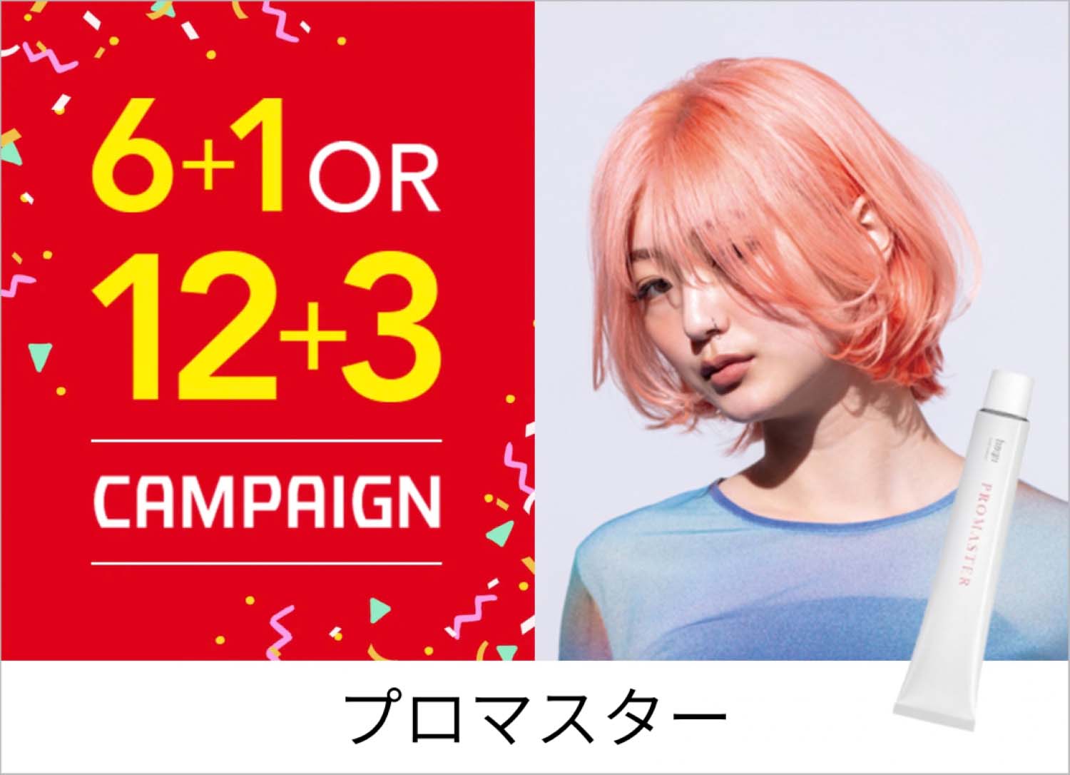 【5周年感謝祭】プロマスター / プロマスタ…