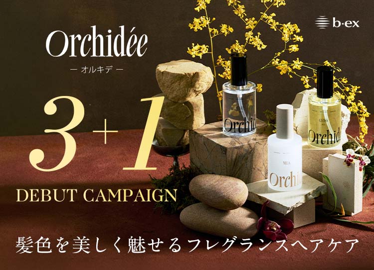 【追加アイテム登場】メゾンオルキデ3+1デビ…