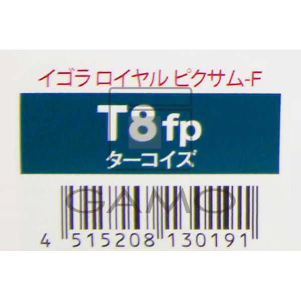ファイバープレックスカラー（fp） イゴラロイヤル ピクサムF T8