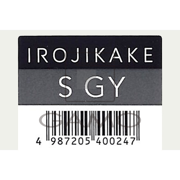 ホーユー プロフェッショナル IROJIKAKE　S　GY　ソニックグレー