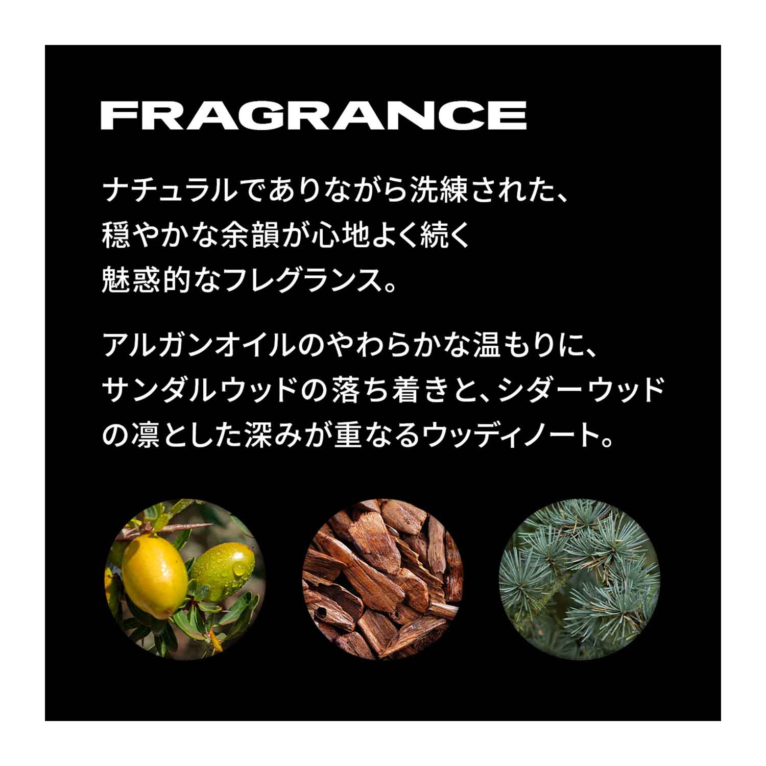 セバスティアン ダークオイル スムース&シャインオイル 100ml | G