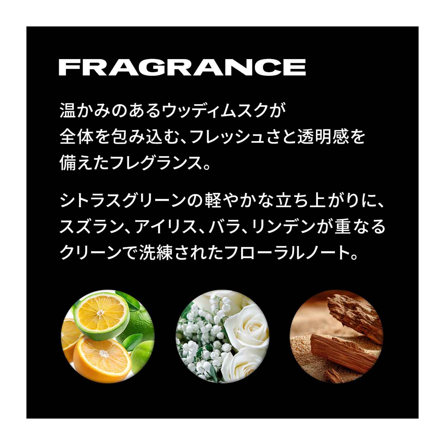セバスティアン　ノーブレーカー　ボンディングミスト　100ml