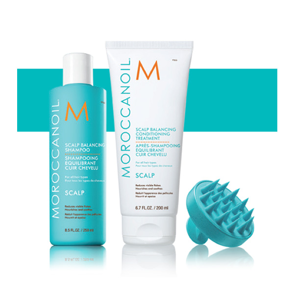 MOROCCANOIL(モロッカンオイル)  スカルプコレクション 頭皮ケアセット （シャンプー250ml＆コンディショナー200ml　+マッサージブラシ）