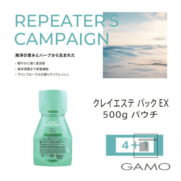 ビーエックス（旧ビューティーエクスペリエンス／旧モルトベーネ） クレイエステEX　パック　500gパウチ　4+1