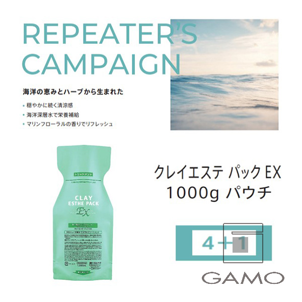 ビーエックス（旧ビューティーエクスペリエンス／旧モルトベーネ） クレイエステEX　パック　1000gパウチ　4+1