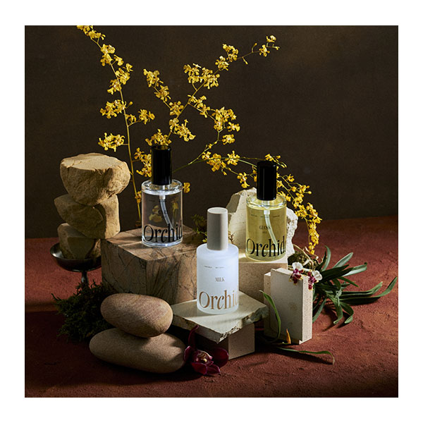 【スタッフ販売　定価の50％OFF】 メゾンオルキデ　リッチミルク　100ml