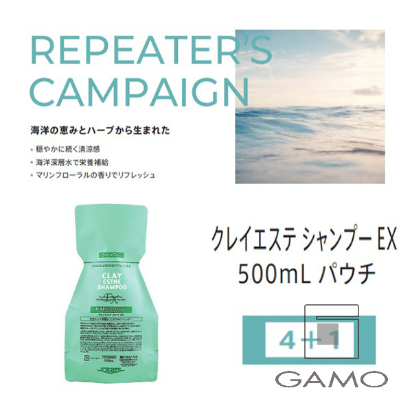 ビーエックス（旧ビューティーエクスペリエンス／旧モルトベーネ） クレイエステEX　シャンプー　500mlパウチ　4+1
