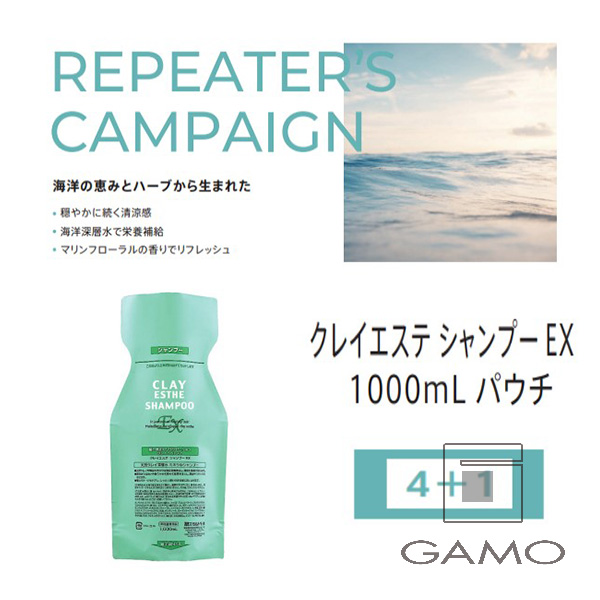 ビーエックス（旧ビューティーエクスペリエンス／旧モルトベーネ） クレイエステEX　シャンプー　1000mlパウチ　4+1
