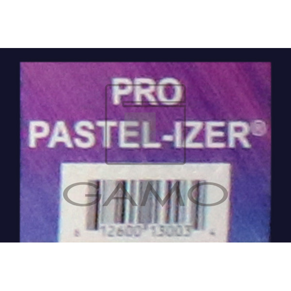 プロフェッショナル SPP13003 プロパステライザー(クリア剤) | G 