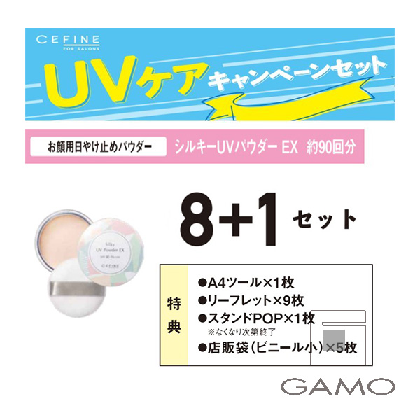 セフィーヌ　キャンペーン