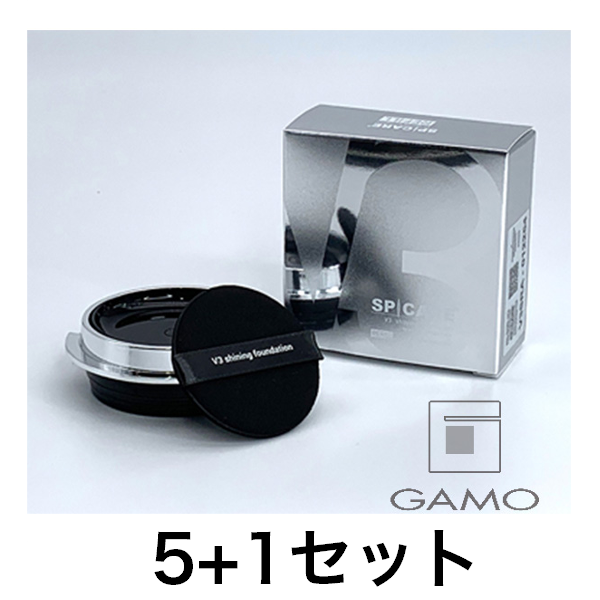 【5点分で1点無料】　V3　シャイニングファンデーション　（レフィル）　5+1キャンペーンセット