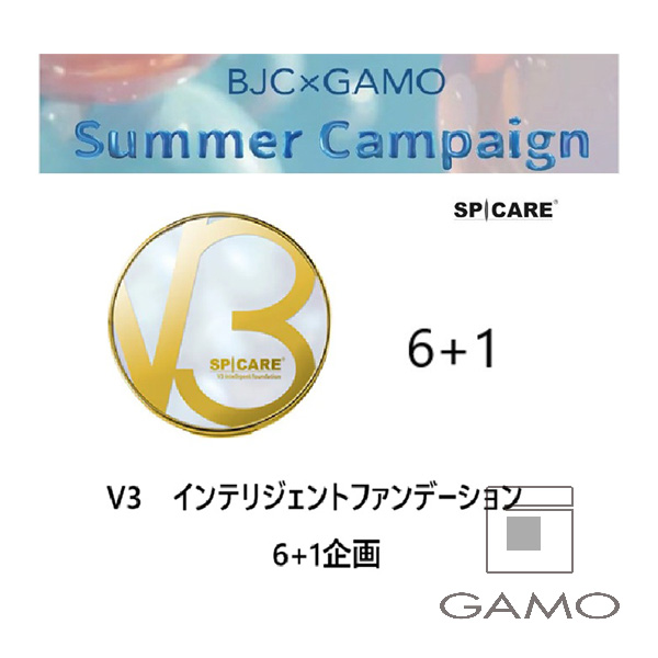 株式会社BJC V3　インテリジェントファンデーション