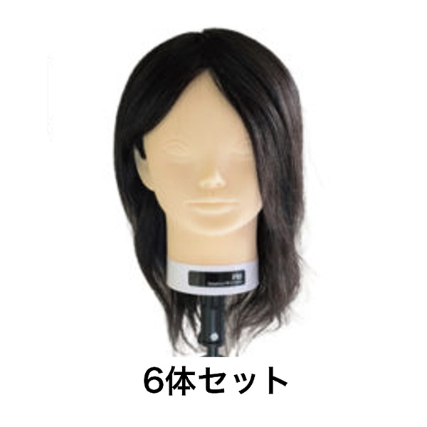 ウィッグセット(ユーロプレステージ）