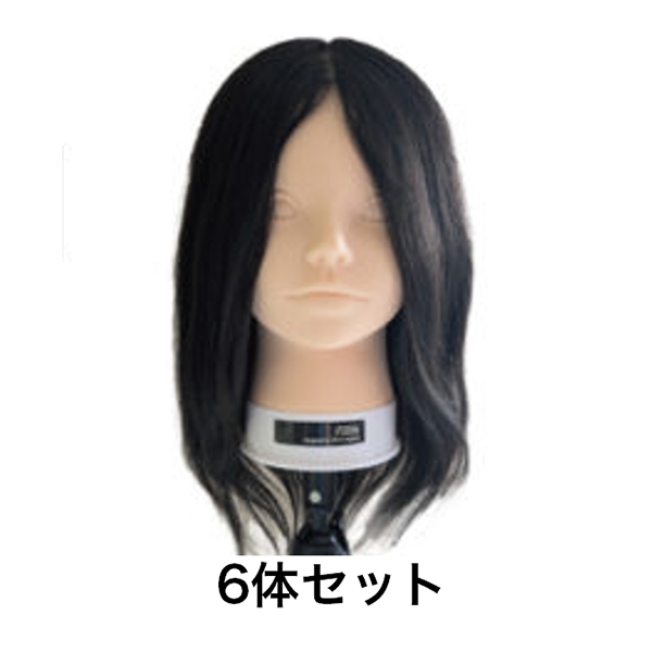 ユーロプレステージ 【GAMO特価６体セット】ユーロプレステージ　iP200dx　ウィッグ