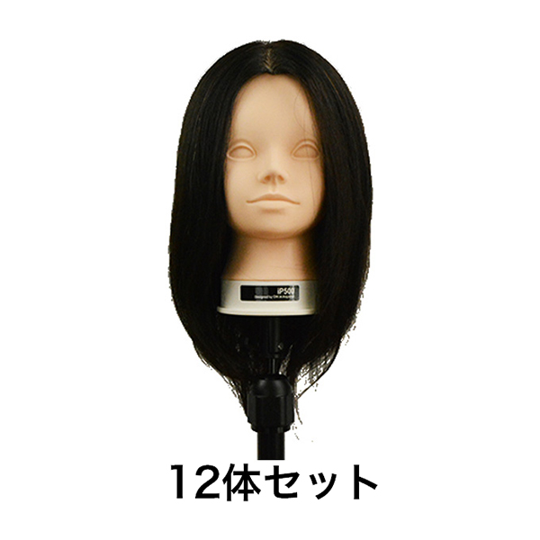 ユーロプレステージ 【GAMO特価12体セット】ユーロプレステージ　iP500　ウィッグ