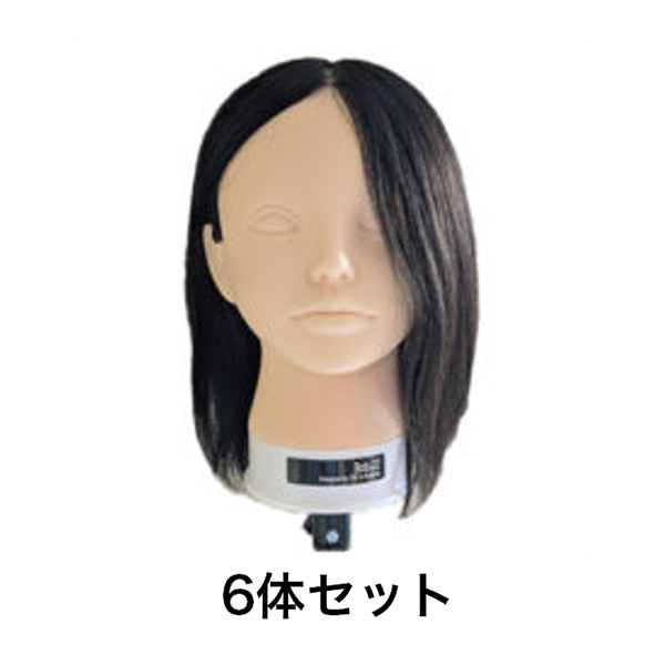 ユーロプレステージ 【GAMO特価６体セット】ユーロプレステージ　Bob22　ウィッグ