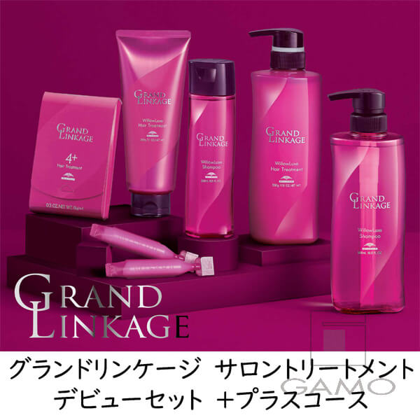 グランドリンケージ 4+ 9g×4連 | G SELECT ガモウの理美容用品通販サイト