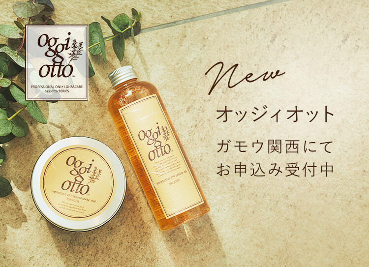 オッジィオット 取扱開始