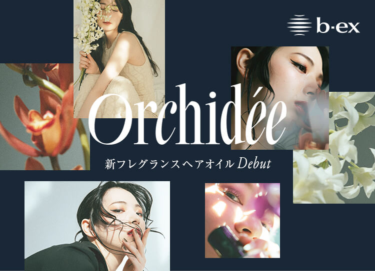 オルキデ Orchidee by ビーエックス デビュー