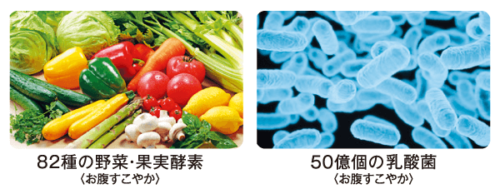 酵素と乳酸菌イメージ