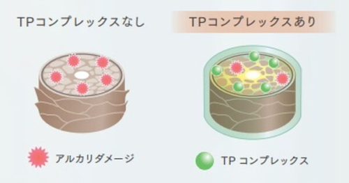 TPコンプレックスの効果イメージ