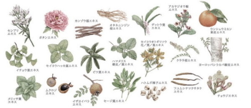 21種類の植物美容エキスイメージ
