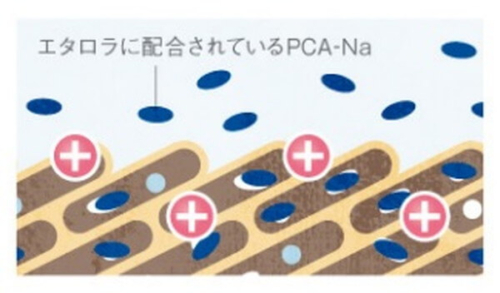 PCA-Naの効果イメージ