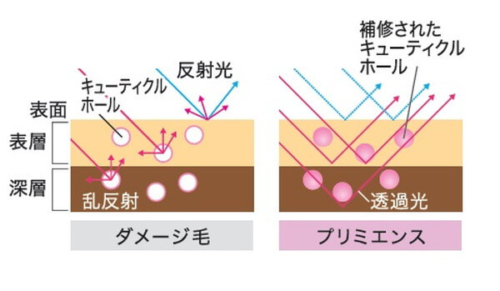 マルチキューティクルケア成分の効果