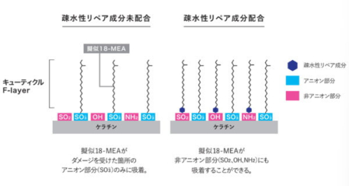 疎水性リペア成分の効果イメージ