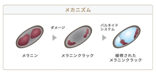 バルネイドシステムイメージ