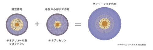 グラデーション作用イメージ