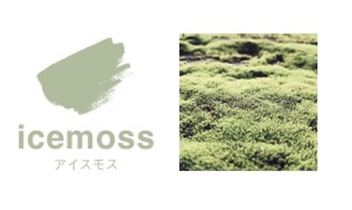 アイスモスイメージ
