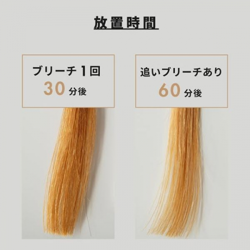 アクセスフリーパウダーブリーチの追いブリーチ検証