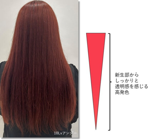 マゼンダモデル