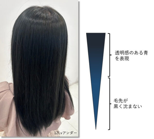 コバルトモデル