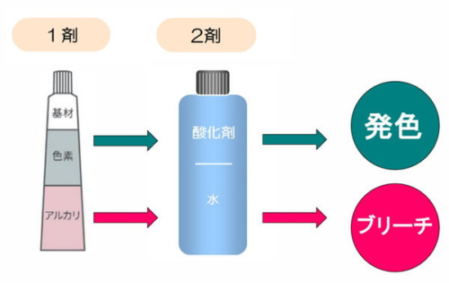 酸化染毛剤のしくみ