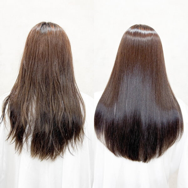 sinsモデル画像