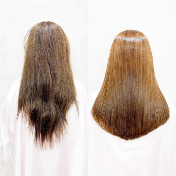sinsモデル画像2