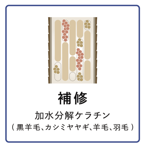 補修