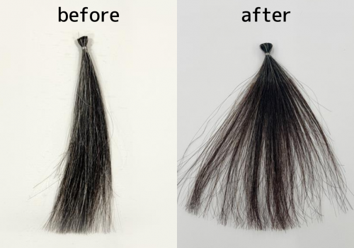 ヘルバBeforeAfter