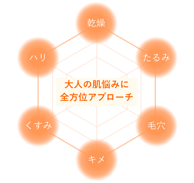 大人の肌に全方向フォロー