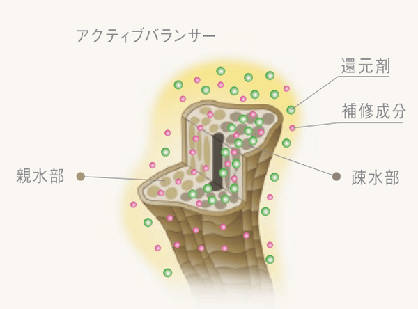 アクティブバランサーの浸透イメージ