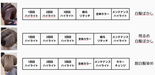 育てるハイライト、３回の流れ