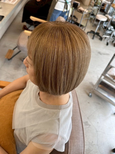 白ちゃん活かし2