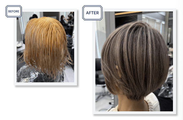 ロイヤルヴェールビフォーアフター画像