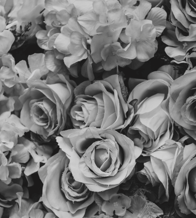 ラテローズイメージ