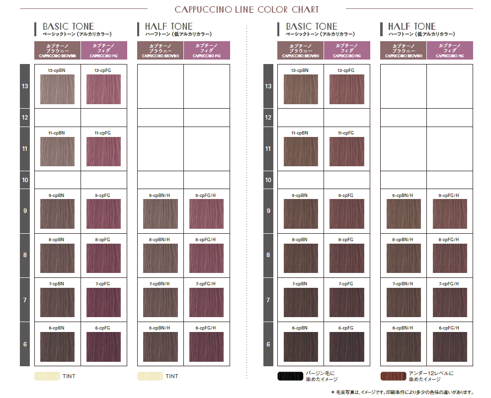 オルディーブカプチーノラインカラーチャート