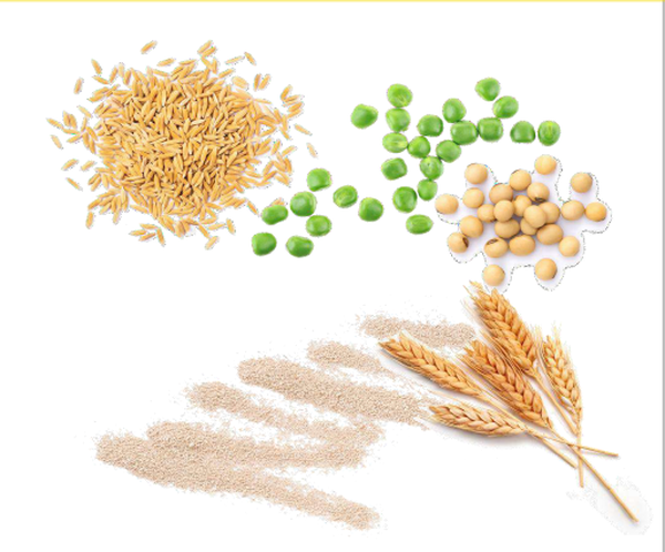 ピュアプロテインカクテル