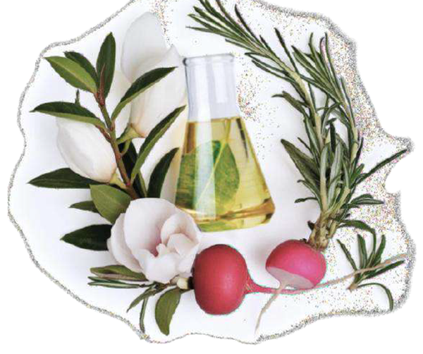 オイルコンプレックス